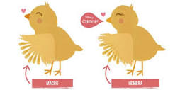 ¿Cómo saber si es gallo o gallina con 2 meses?