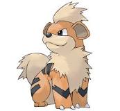 ¿Cómo se llama el Pokémon perro tipo fuego?