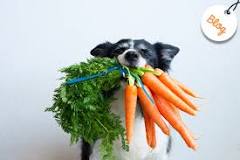 ¿Qué verduras no debe de comer un perro?