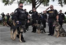 ¿Qué raza de perro puede ser policía?