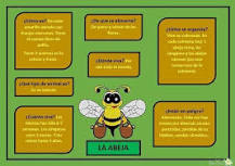 ¿Cómo se describe una abeja?