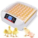 incubadoras para huevos