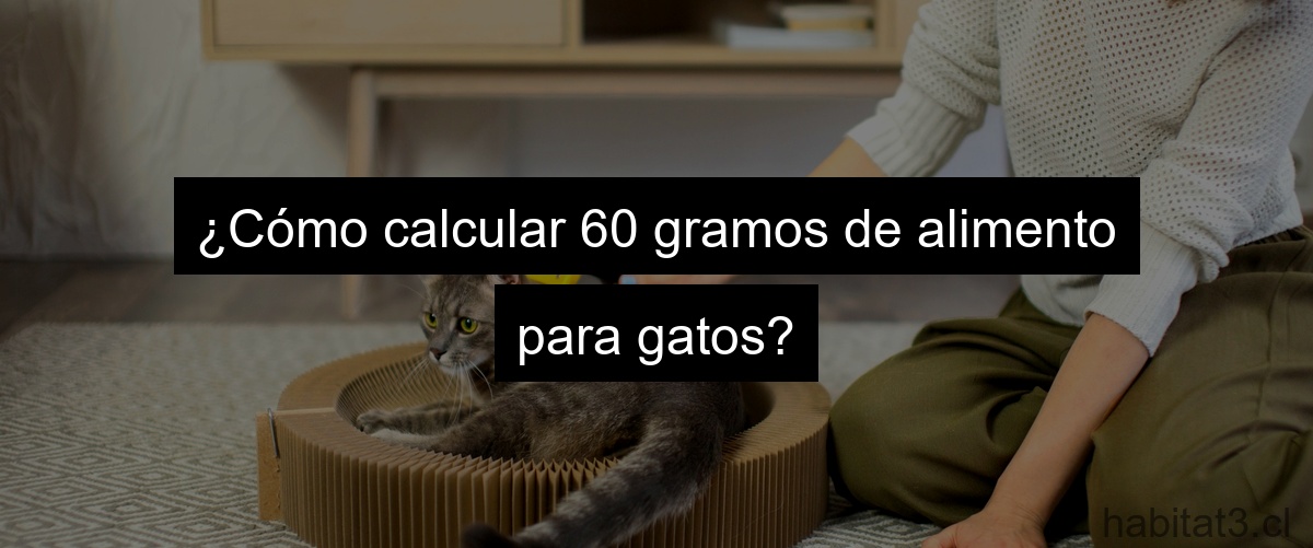 ¿Cómo calcular 60 gramos de alimento para gatos?