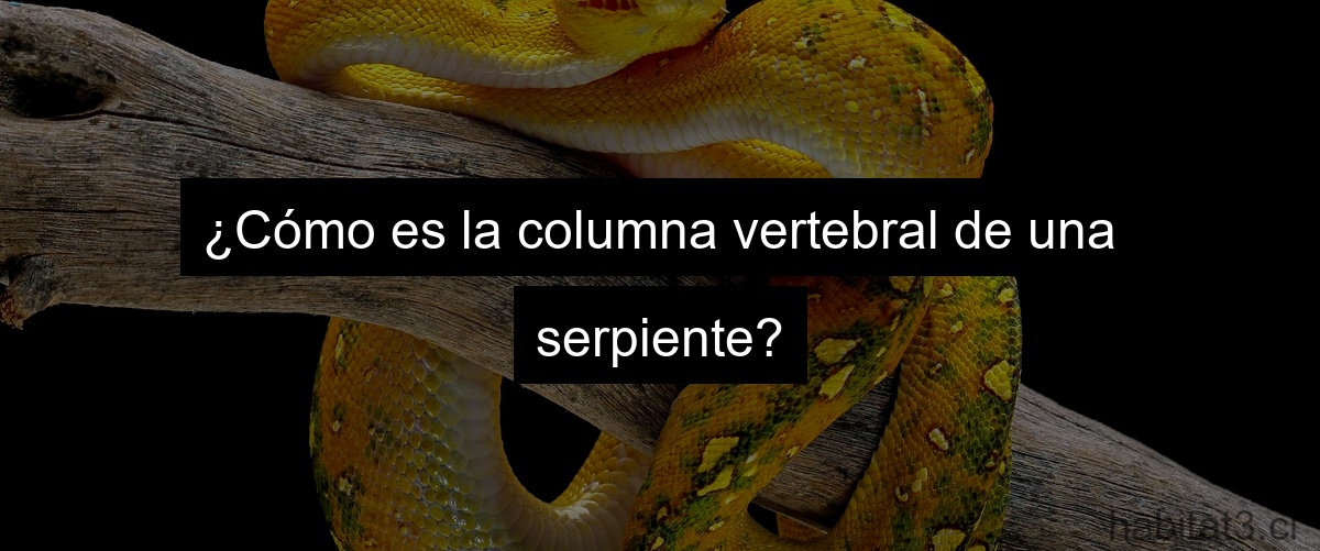 ¿Cómo es la columna vertebral de una serpiente?