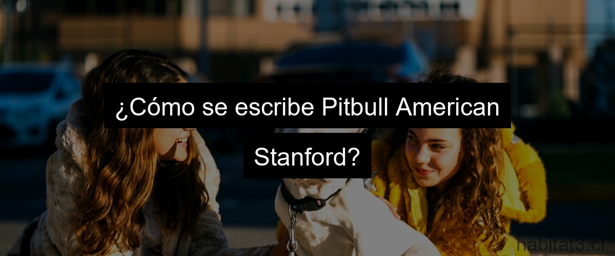 ¿Cómo se escribe Pitbull American Stanford?
