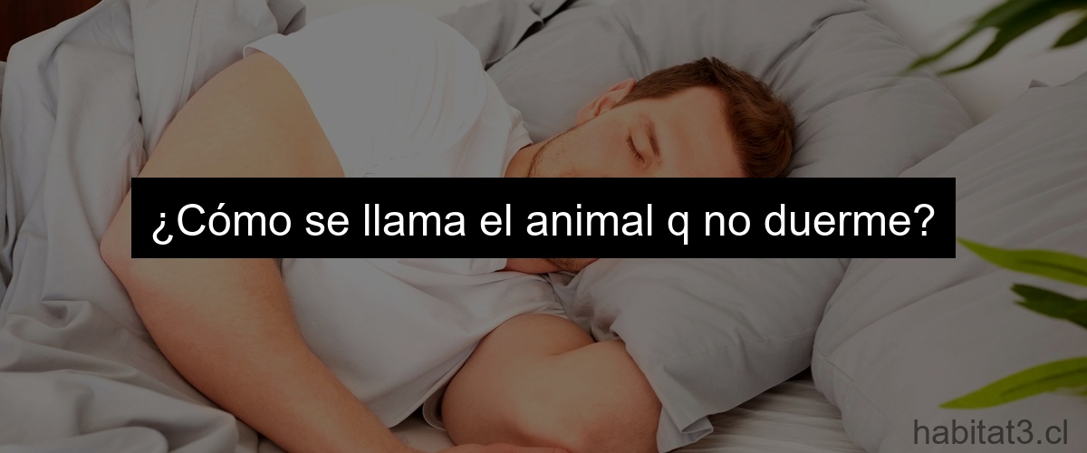 ¿Cómo se llama el animal q no duerme?