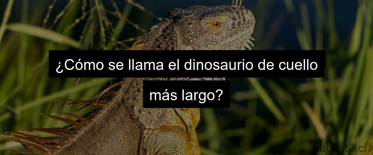 ¿Cómo se llama el dinosaurio de cuello más largo?