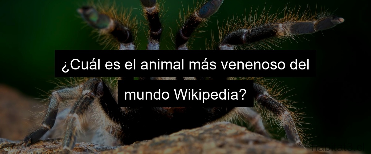 ¿Cuál es el animal más venenoso del mundo Wikipedia?