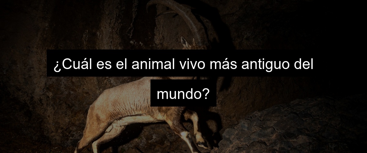 ¿Cuál es el animal vivo más antiguo del mundo?