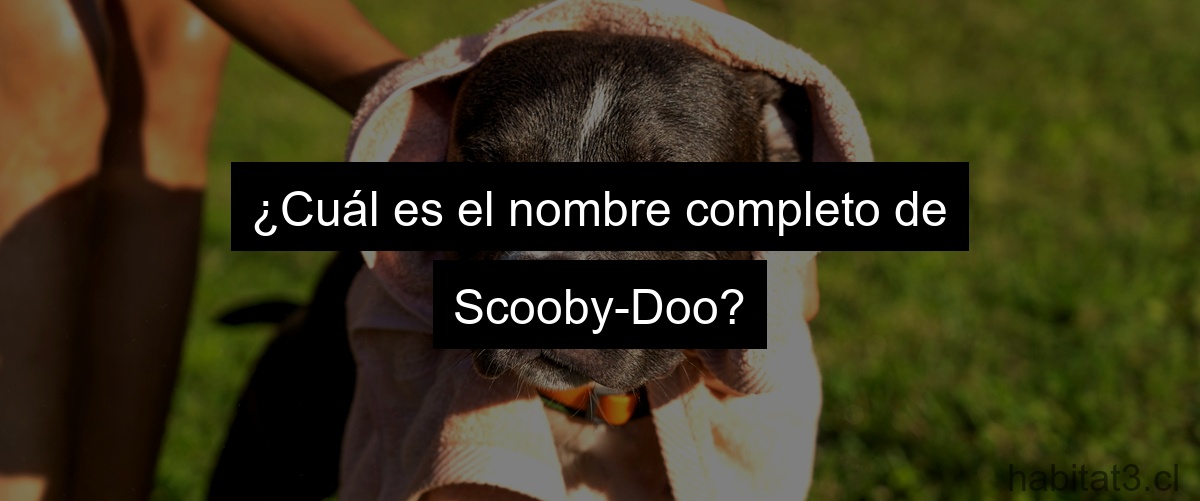 ¿Cuál es el nombre completo de Scooby-Doo?