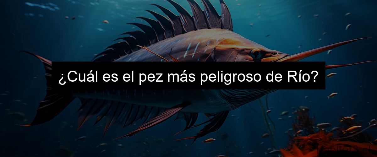 ¿Cuál es el pez más peligroso de Río?