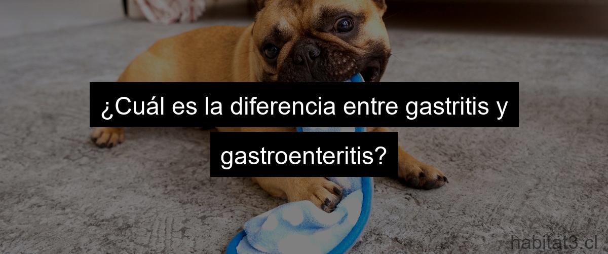 ¿Cuál es la diferencia entre gastritis y gastroenteritis?