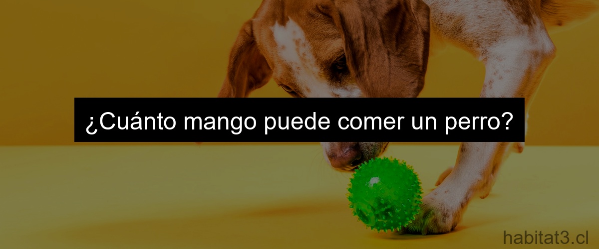 ¿Cuánto mango puede comer un perro?