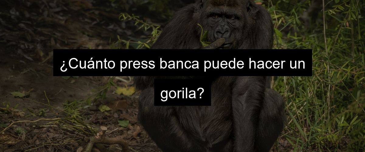 ¿Cuánto press banca puede hacer un gorila?
