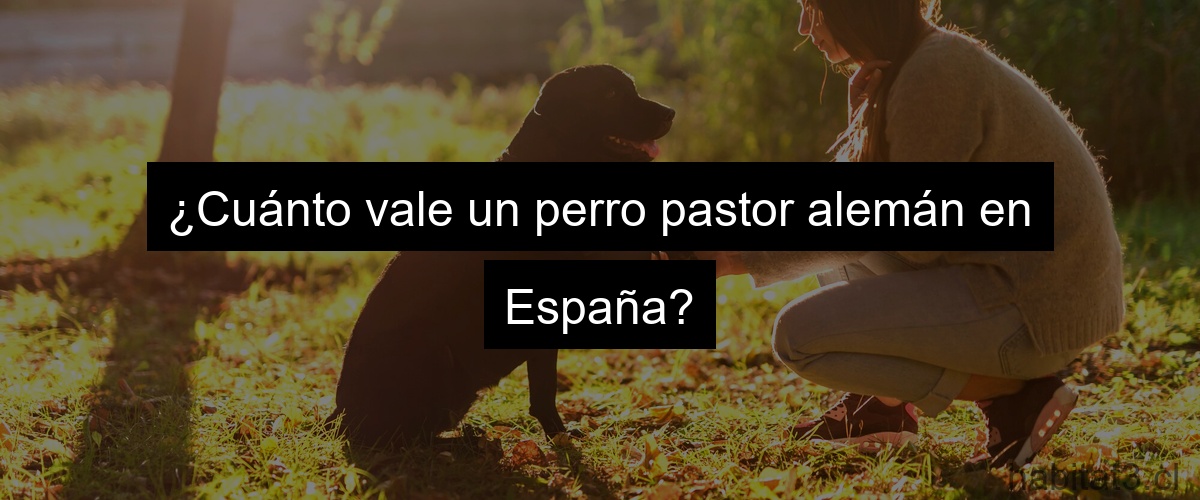 ¿Cuánto vale un perro pastor alemán en España?