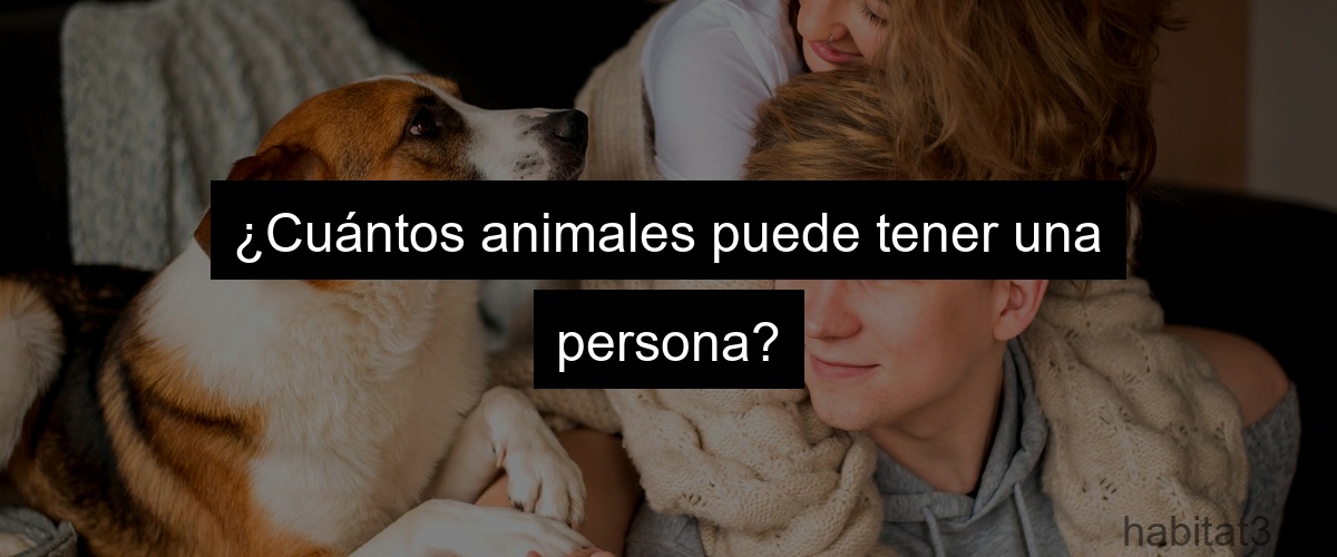 ¿Cuántos animales puede tener una persona?