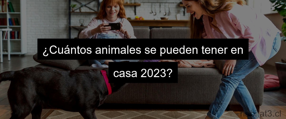 ¿Cuántos animales se pueden tener en casa 2023?