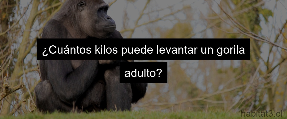 ¿Cuántos kilos puede levantar un gorila adulto?