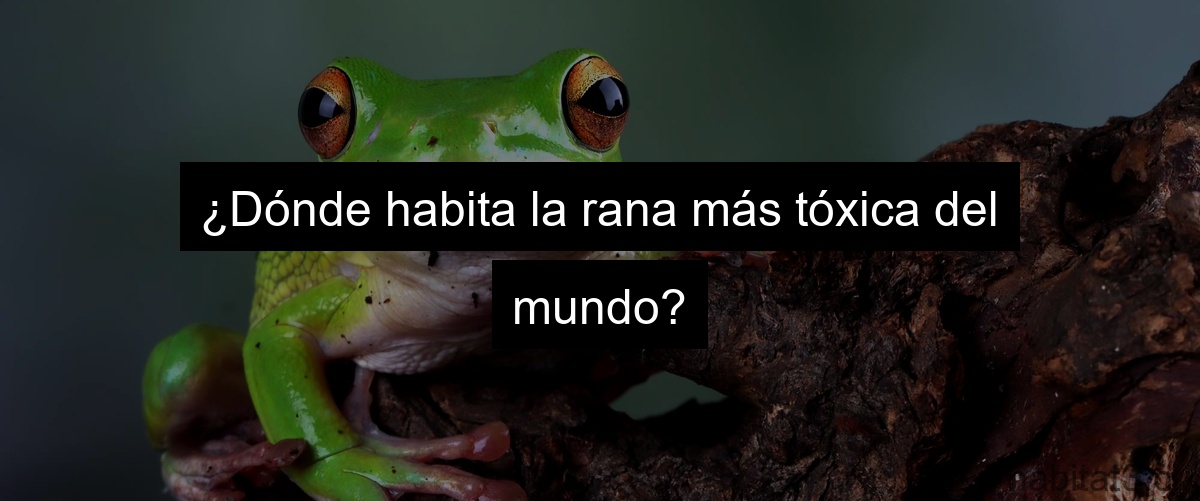 ¿Dónde habita la rana más tóxica del mundo?