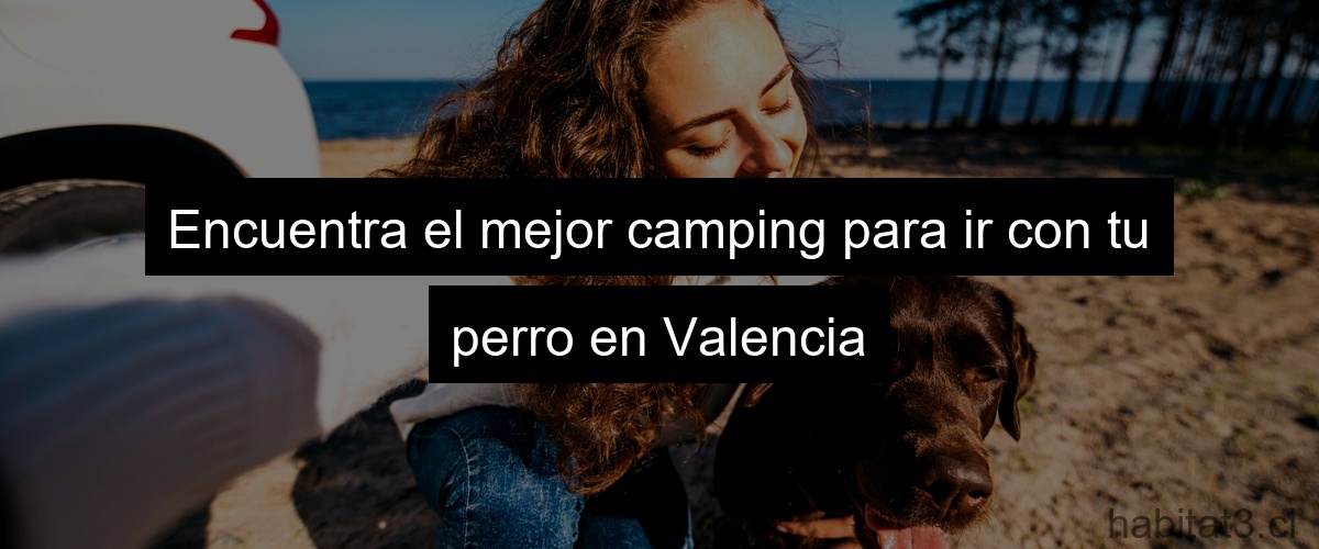 Encuentra el mejor camping para ir con tu perro en Valencia