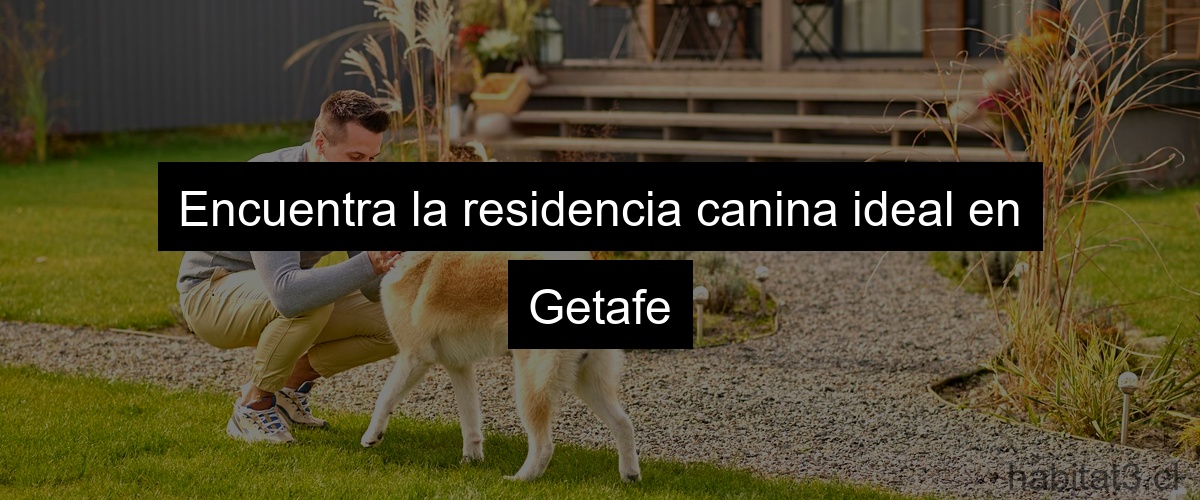 Encuentra la residencia canina ideal en Getafe