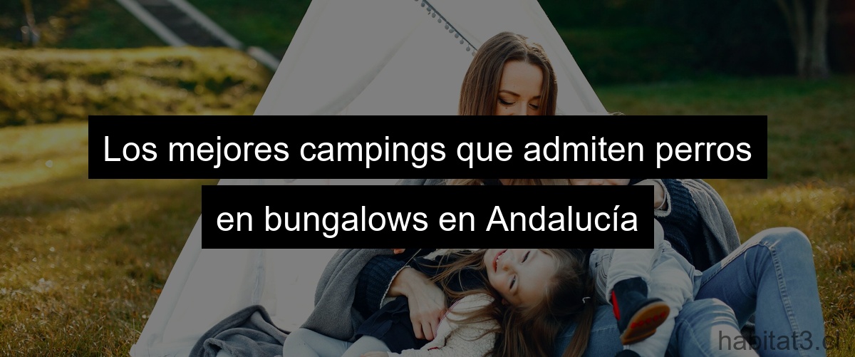 Los mejores campings que admiten perros en bungalows en Andalucía