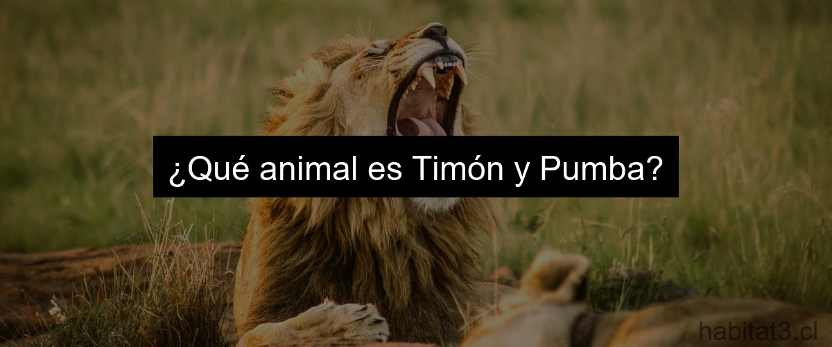 ¿Qué animal es Timón y Pumba?