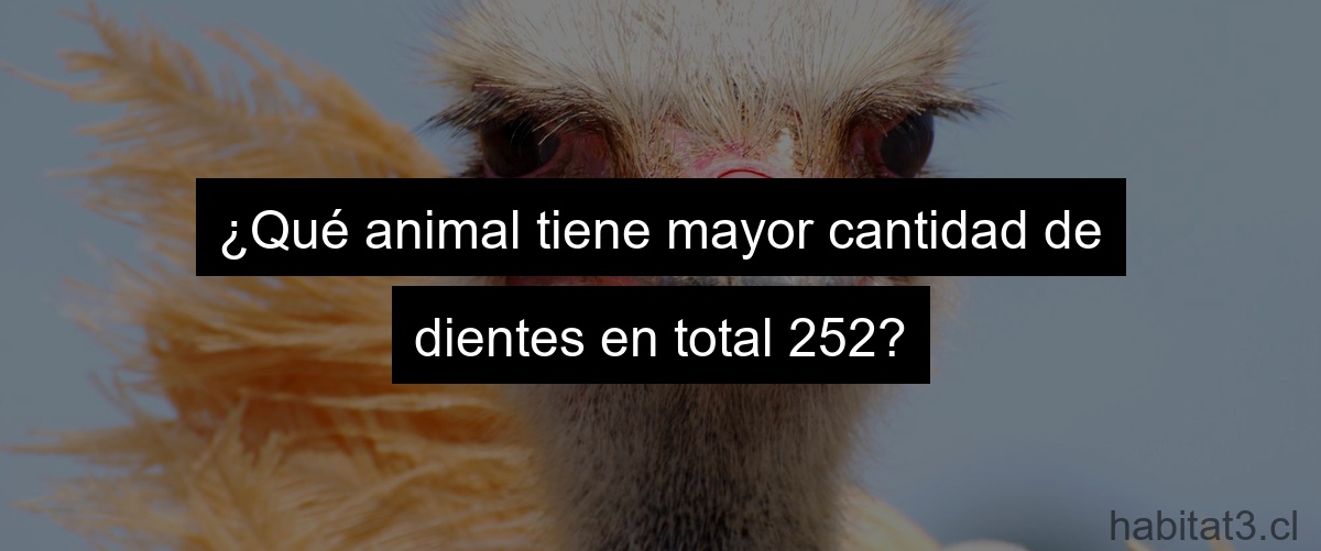 ¿Qué animal tiene mayor cantidad de dientes en total 252?