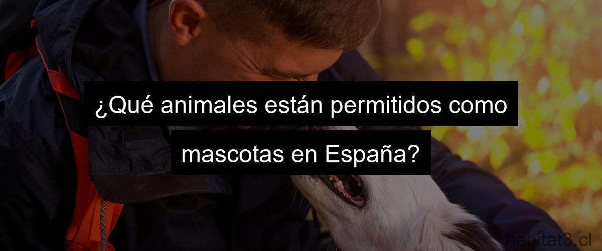 ¿Qué animales están permitidos como mascotas en España?