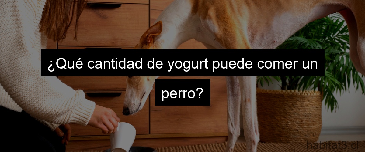 ¿Qué cantidad de yogurt puede comer un perro?