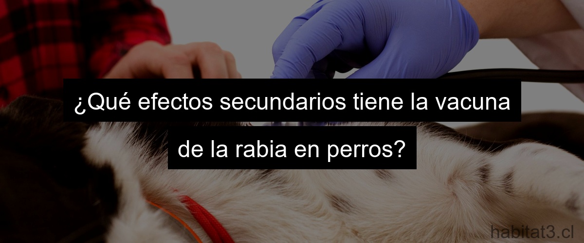 ¿Qué efectos secundarios tiene la vacuna de la rabia en perros?