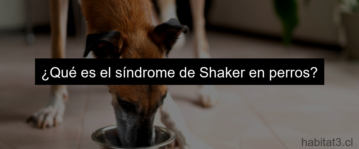 ¿Qué es el síndrome de Shaker en perros?