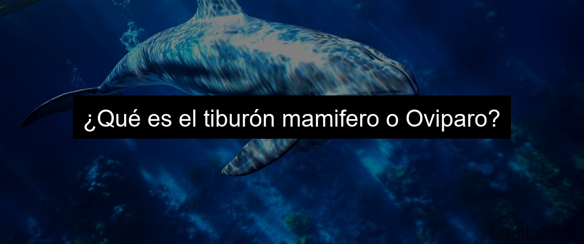 ¿Qué es el tiburón mamifero o Oviparo?