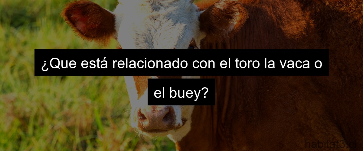 ¿Que está relacionado con el toro la vaca o el buey?
