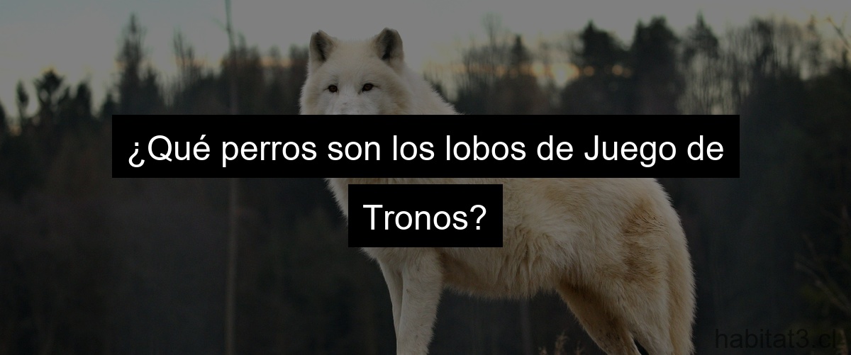 ¿Qué perros son los lobos de Juego de Tronos?