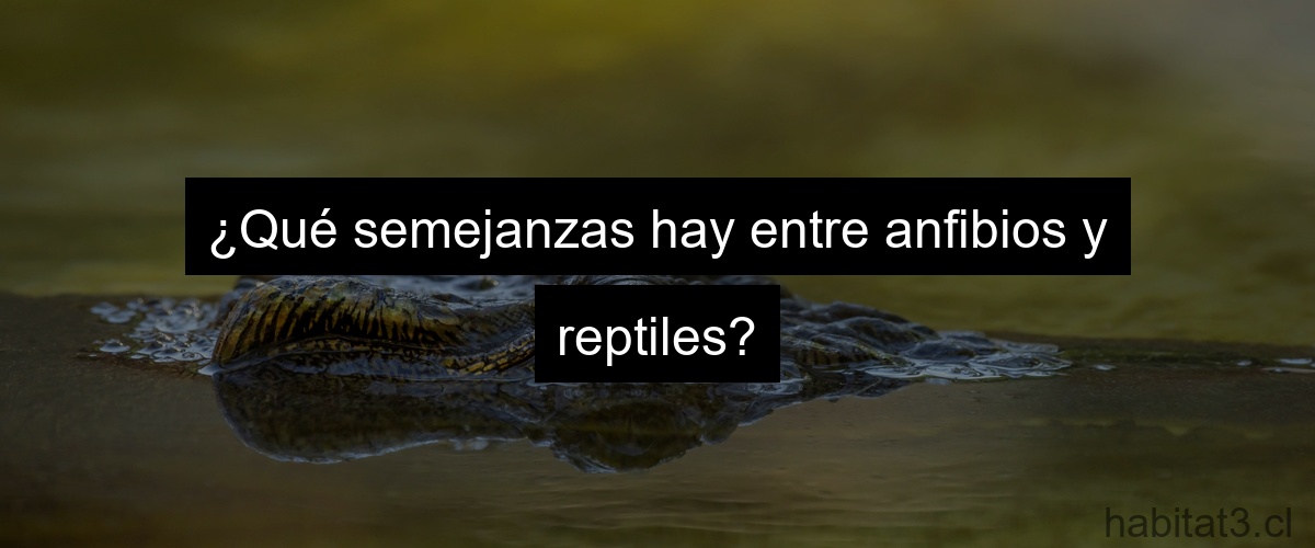 ¿Qué semejanzas hay entre anfibios y reptiles?