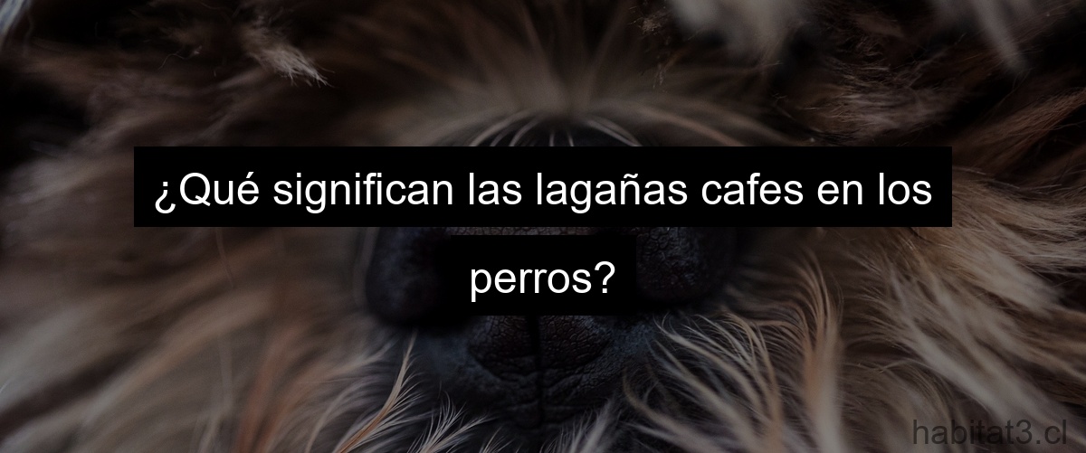 ¿Qué significan las lagañas cafes en los perros?