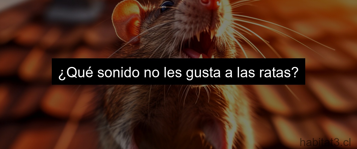 ¿Qué sonido no les gusta a las ratas?