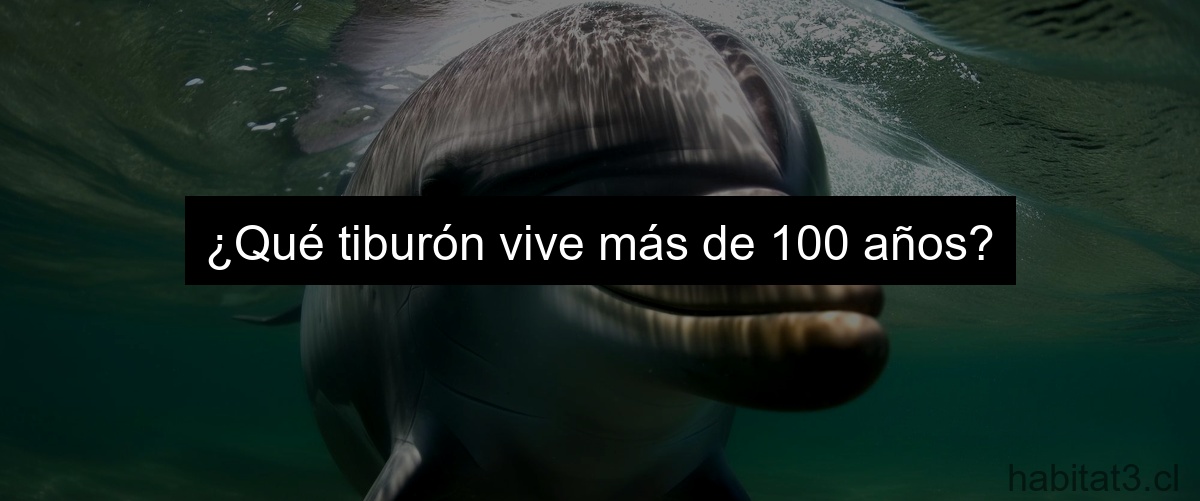 ¿Qué tiburón vive más de 100 años?