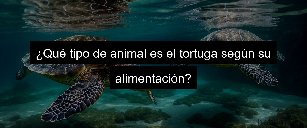 ¿Qué tipo de animal es el tortuga según su alimentación?