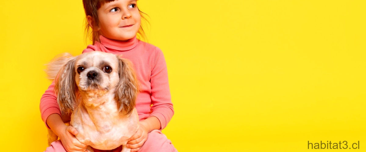 Cómo hacer orejas de perro para complementar el disfraz casero de tu hijo
