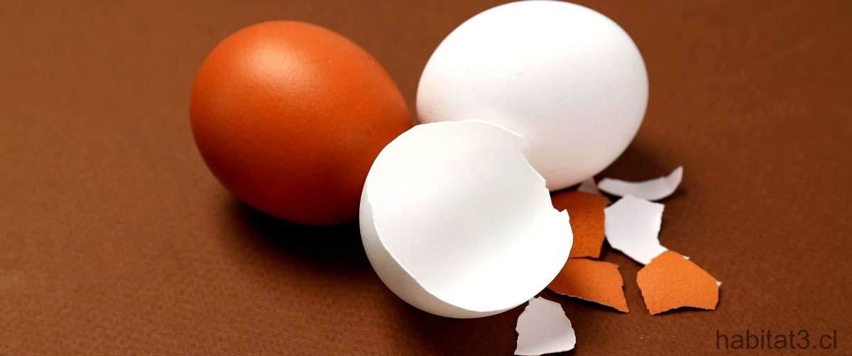 ¿Cómo podemos consumir la cáscara de huevo?
