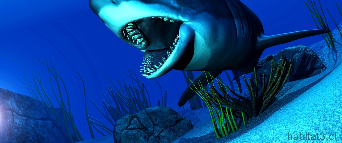 ¿Cómo se llama el tiburón que no tiene huesos?
