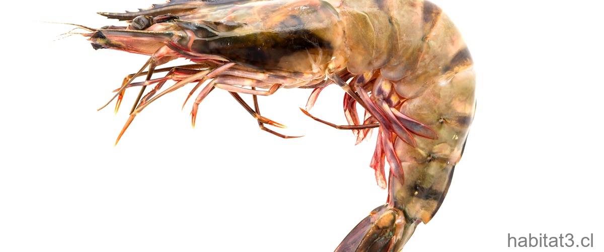 ¿Cómo se relaciona el pez con patas de cangrejo con otras especies marinas?