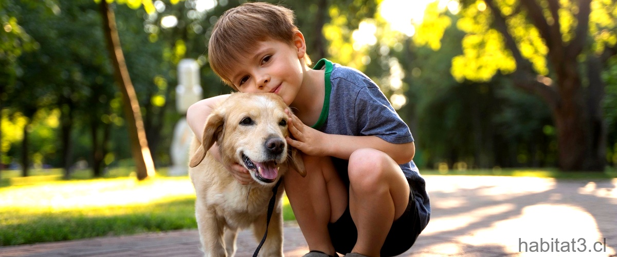 ¿Cuáles son las mejores razas de perros para niños?