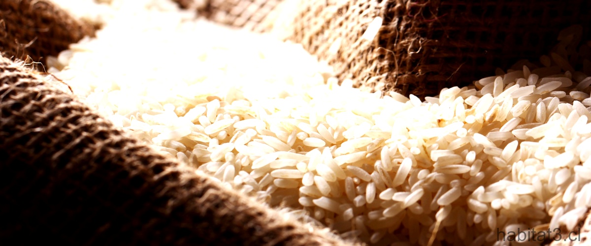 Deltebre: donde disfrutar de un delicioso arroz