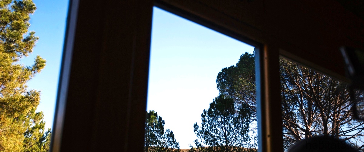 Mirar a través de la ventana: una pausa en el tiempo
