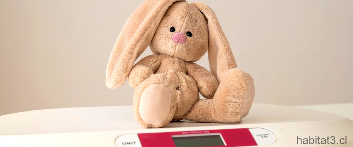 ¿Qué es el síndrome vestibular en los conejos?