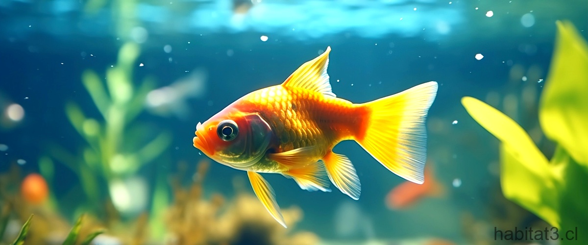 ¿Qué peces pueden respirar aire?